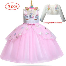 Load image into Gallery viewer, New Elsa Unicorn Dress for Girls Embroidery Ball Gown Princess Birthday Dresses - winsomesboutique