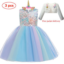 Load image into Gallery viewer, New Elsa Unicorn Dress for Girls Embroidery Ball Gown Princess Birthday Dresses - winsomesboutique