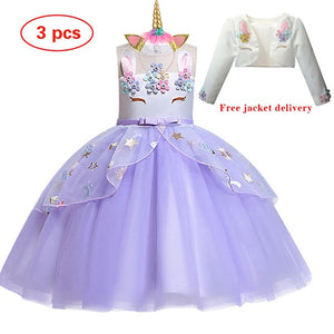 New Elsa Unicorn Dress for Girls Embroidery Ball Gown Princess Birthday Dresses - winsomesboutique