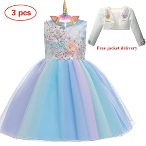 New Elsa Unicorn Dress for Girls Embroidery Ball Gown Princess Birthday Dresses - winsomesboutique