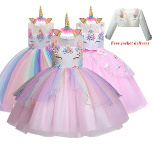 New Elsa Unicorn Dress for Girls Embroidery Ball Gown Princess Birthday Dresses - winsomesboutique