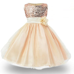 1-14 yrs teenagers Girls Dress Wedding Party Princess Christmas Dresses - winsomesboutique